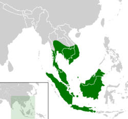 Siebenrockiella crassicollis distribution map.png