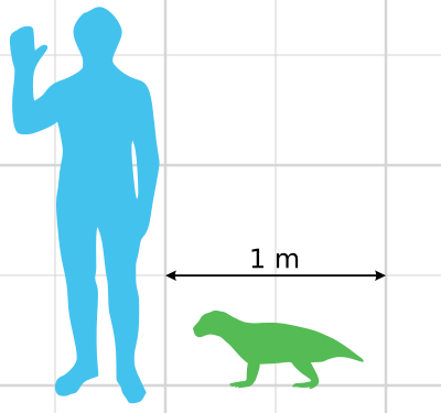 File:Simosuchus scale.svg