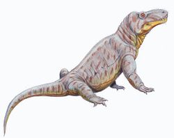 Titanosuchus ferox.jpg