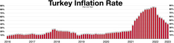 Turkey inflation rate.webp