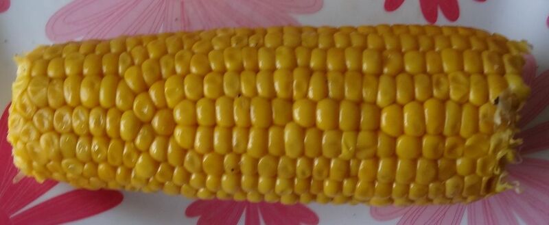 File:Aa maize ear irregular 01.jpg