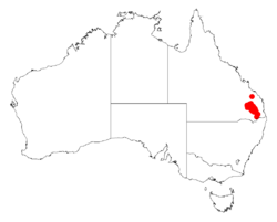 Acacia lorolobaDistMap556.png