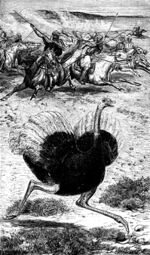 Arabian Ostrich hunt.jpg