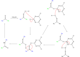 Beckmann cyanuric acid cataly cycle