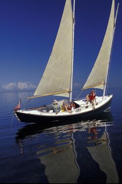 Biscayne National Park V-egret sailing.jpg