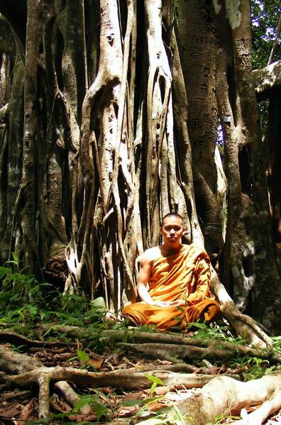 File:Buddhist monk in Khao Luang-Sukhothai.JPG