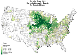 2018 production of corn in the United States