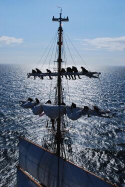 Eagle Cadets Furl Sail.jpg