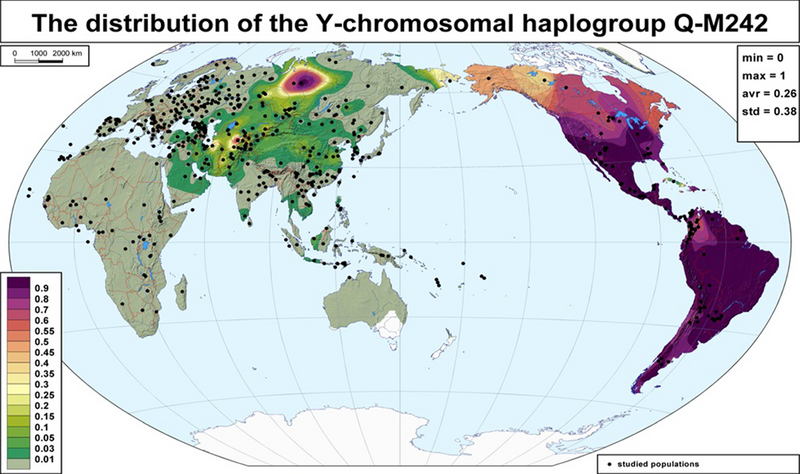 File:Global frequency distribution map of haplogroup Q-M242 (Y-DNA).png