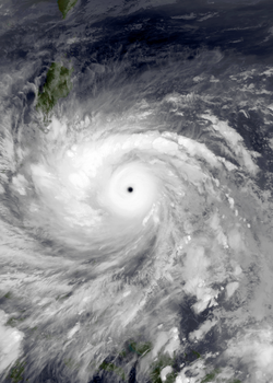 Haiyan 2013-11-07 1345Z (alternate, borderless).png