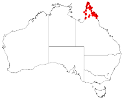 Hakea pedunculataDistMap104.png