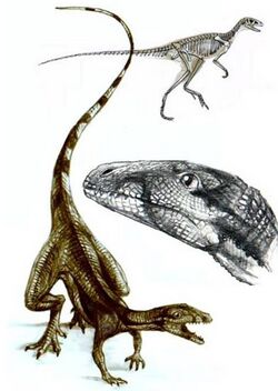 Lagosuchus.jpg