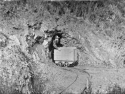 Miner Emerging From Tunnel.jpg