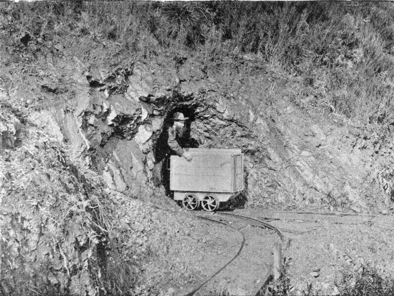 File:Miner Emerging From Tunnel.jpg