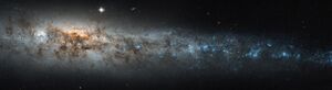 NGC 4631 HST.jpg