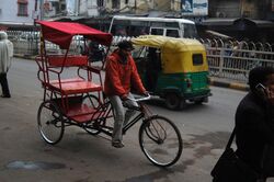 Old Delhi rickshaw 2011.JPG