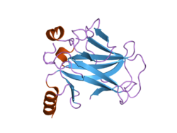 PDB 2biq EBI.png