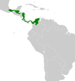 Phaethornis longirostris map.svg