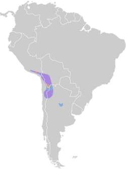 Phoenicoparrus jamesi map.svg