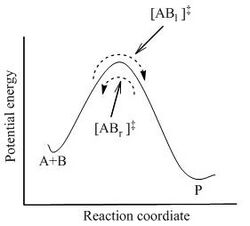 Quasi-equilibrium1.jpg