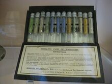 Smelling Case of War Gases, Clifton Park Museum.jpg