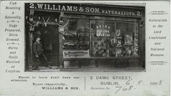 Williams & Son, Naturalists, Dublin, 1908.jpg