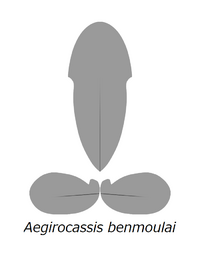 20210516 Radiodonta head sclerites Aegirocassis benmoulai Aegirocassis benmoulae.png