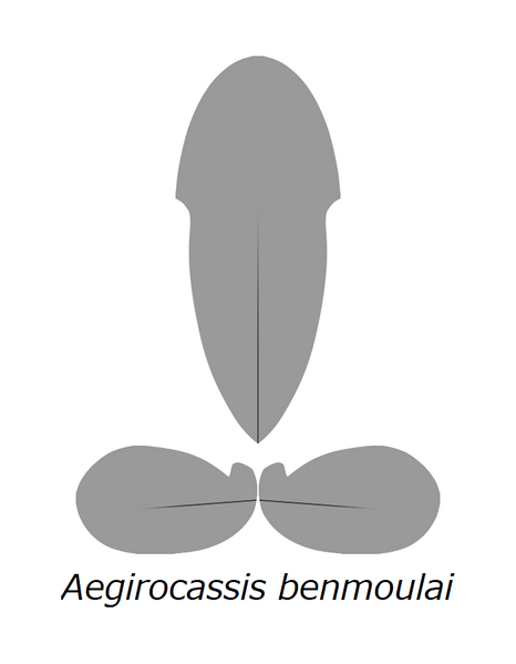 File:20210516 Radiodonta head sclerites Aegirocassis benmoulai Aegirocassis benmoulae.png