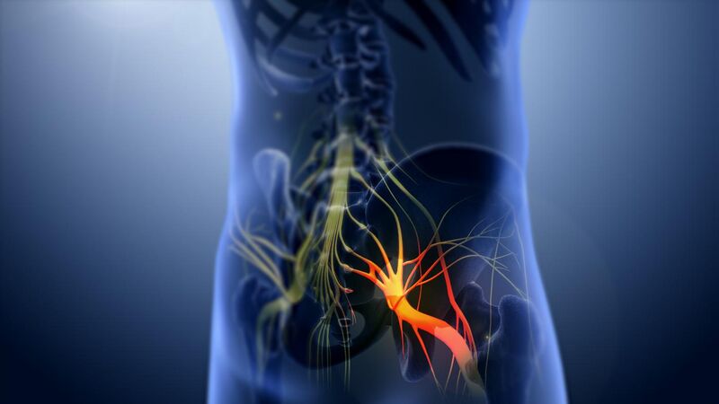 File:3D still showing Sciatica nerve.jpg