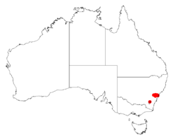 Acacia gordoniiDistMap400.png