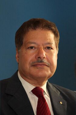 Ahmed Zewail (2010).jpg