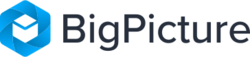 BigPicture logo