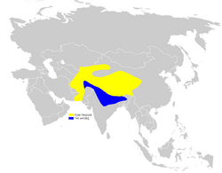 Calandrella acutirostris distribution map.png