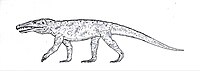 Cerritosaurus.jpg