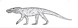 Cerritosaurus.jpg