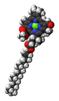 Chlorophyll-d-3D-spacefill.png