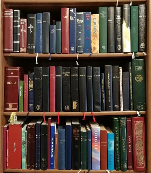 File:Collection of Bibles and New Testaments.jpg