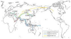 Haplogroup C (Y-DNA) migration.png