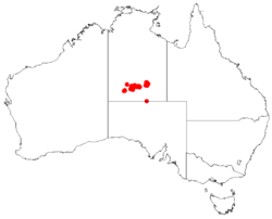 Macrozamia macdonnellii Dist Map15.png