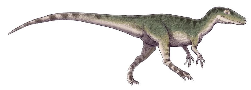 File:Magnosaurus (Flipped).jpg