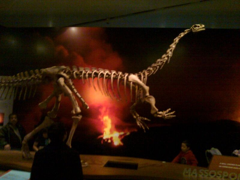 File:Massospondylus Ultimate Dinosaurs.jpg