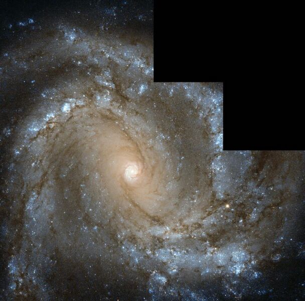 File:Messier 61 looks straight into the camera.jpg