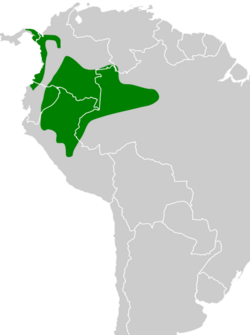Myrmotherula ignota map.svg