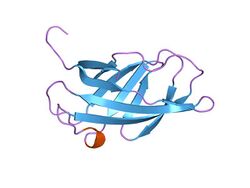 PDB 1exg EBI.jpg