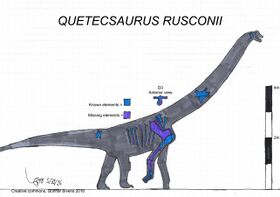 Quetecsaurus rusconii Skeletal Me.jpg