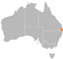 Tenuibranchiurus distribution.svg