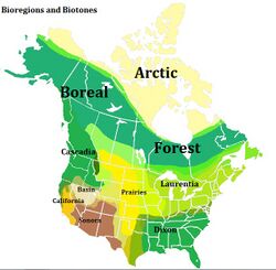 Bioregions and Biotones of North America.jpg