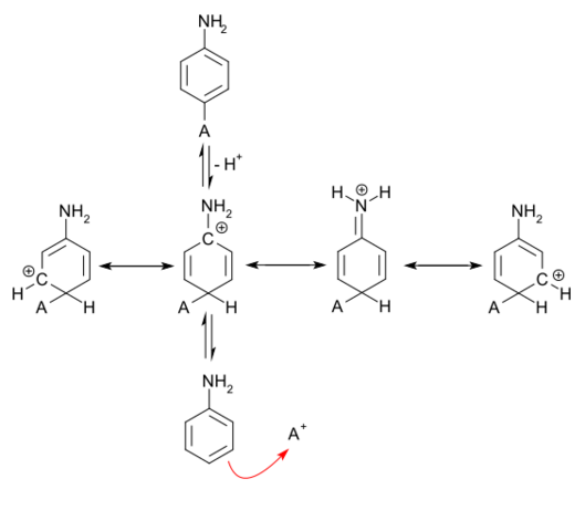 Resonance structures for para attack