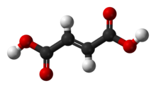 Ball-and-stick model of the fumaric acid molecule