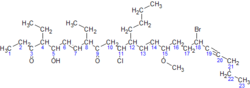 IUPAC naming example with carbons.png